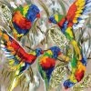 Lilli Rock - Lorikeet Celebration Coaster Set 4pce
