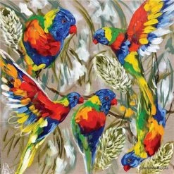 Lilli Rock - Lorikeet Celebration Coaster Set 4pce
