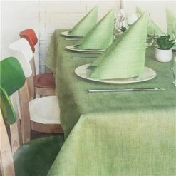 BioNap - Tableset Disposable Tablecloth/Napkin Set Lino Green 11pce