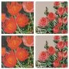 Thirstystone - Protea Anna Z Coaster Set 4pce